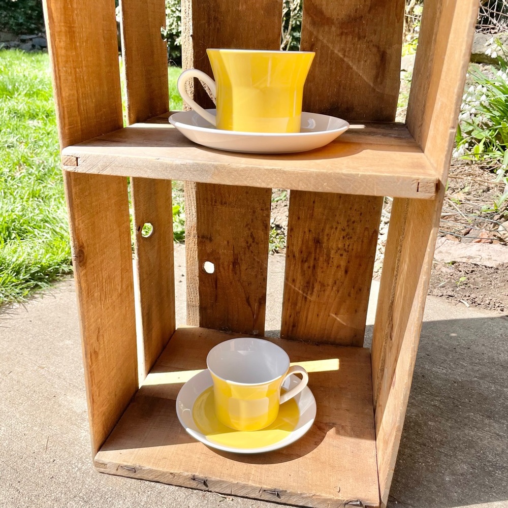 Classic Mikasa cup and saucer